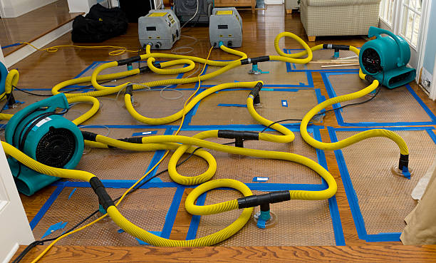 Professional Water Damage Repair technician working in Grandview, MO